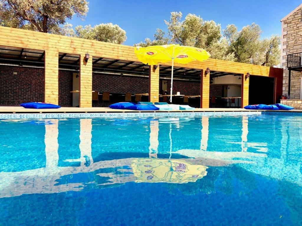 פוצ'ה Victoria Hotel And Lounge מראה חיצוני תמונה