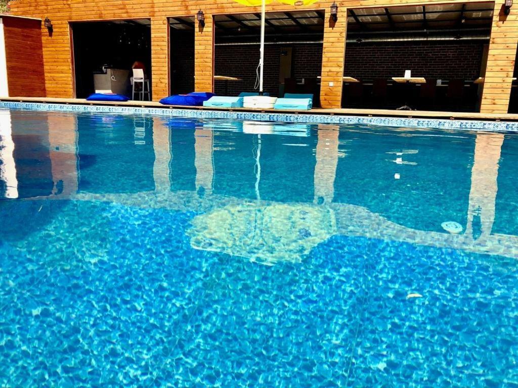 פוצ'ה Victoria Hotel And Lounge מראה חיצוני תמונה