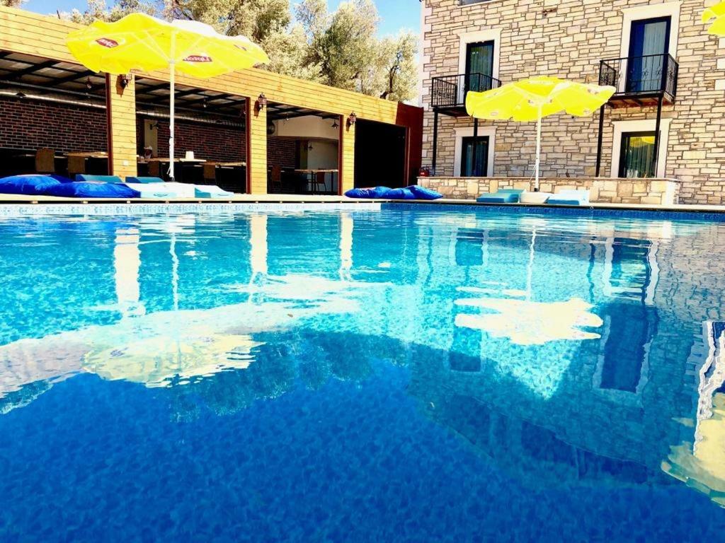 פוצ'ה Victoria Hotel And Lounge מראה חיצוני תמונה